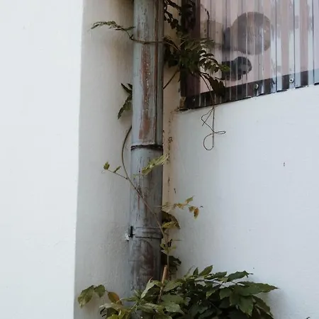 Mit Kamin Und Sauna Pier 1